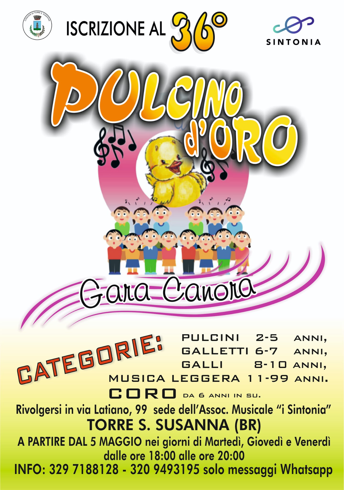 pulcino2026.jpeg