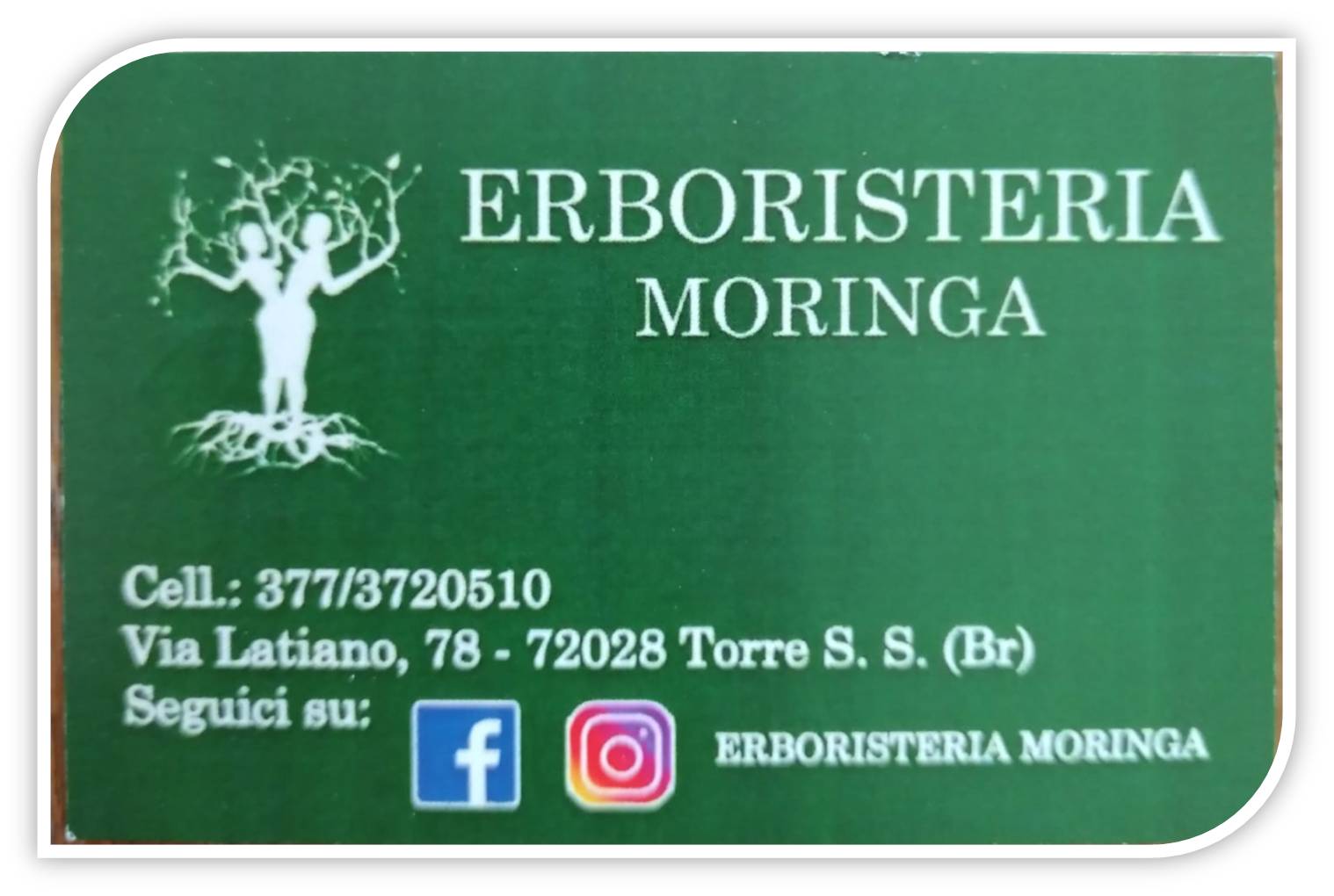 Erboristeria Moringa